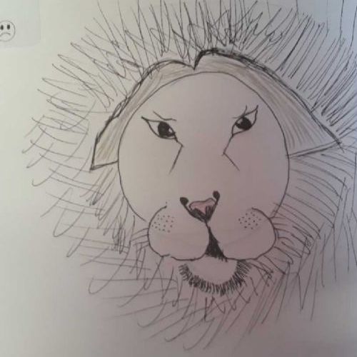 lion drawings in ink
